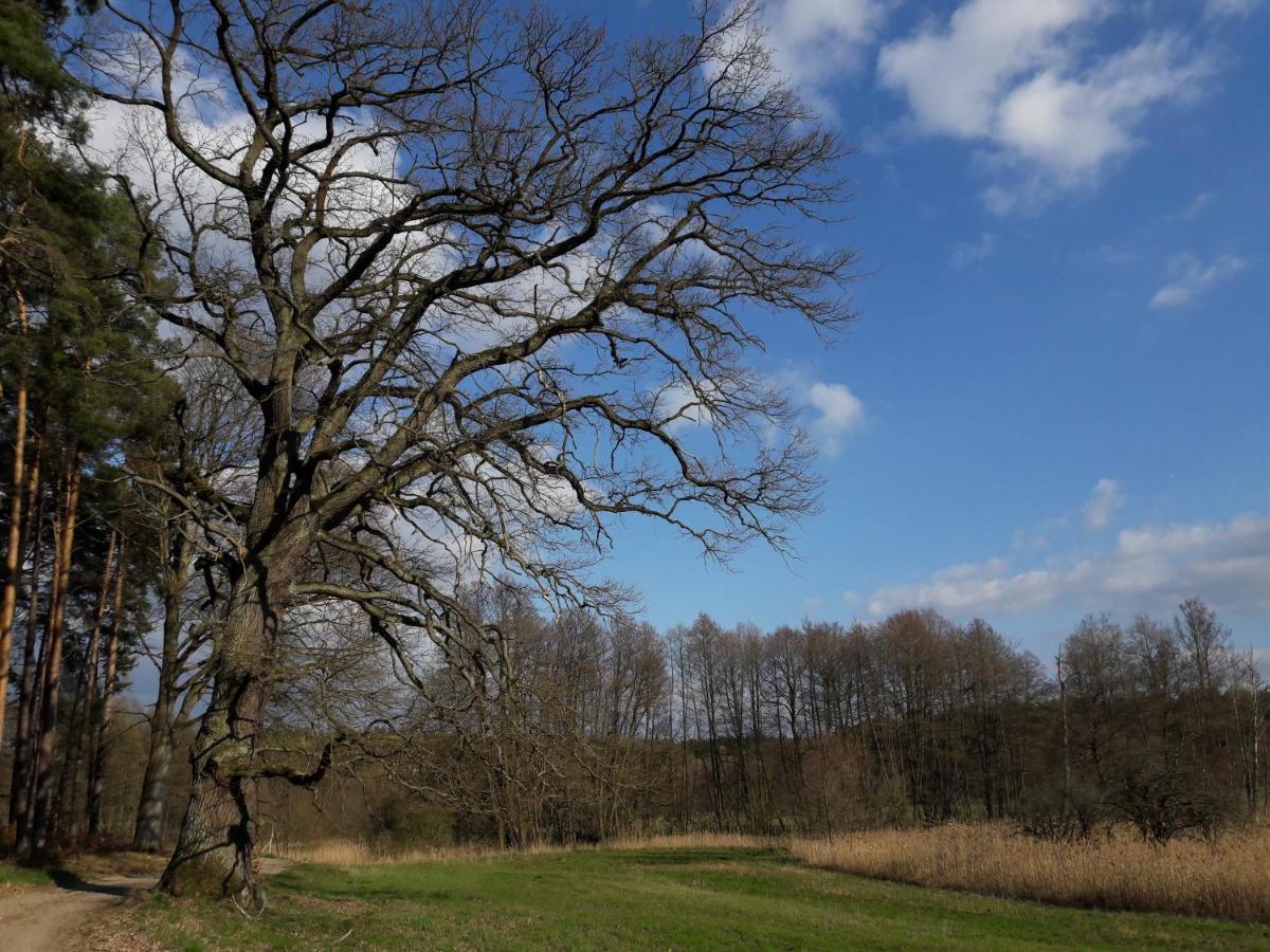 Mirabellenhof-Fewo Mit Terrasse Biesenthal エクステリア 写真